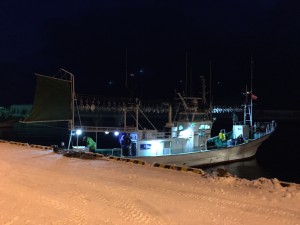 海サクラマスを必ず釣る方法 ありがとっと