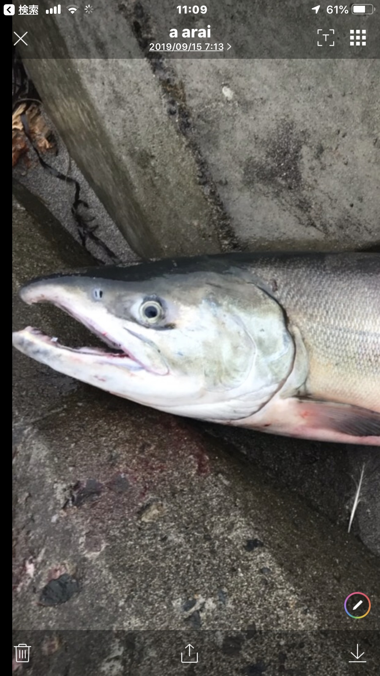 サケ釣り持ち物リスト ありがとっと